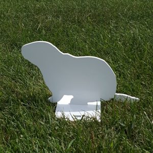 Groundhog Sitting