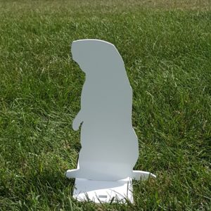Groundhog Standing