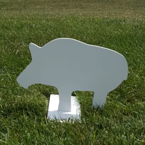 Pig